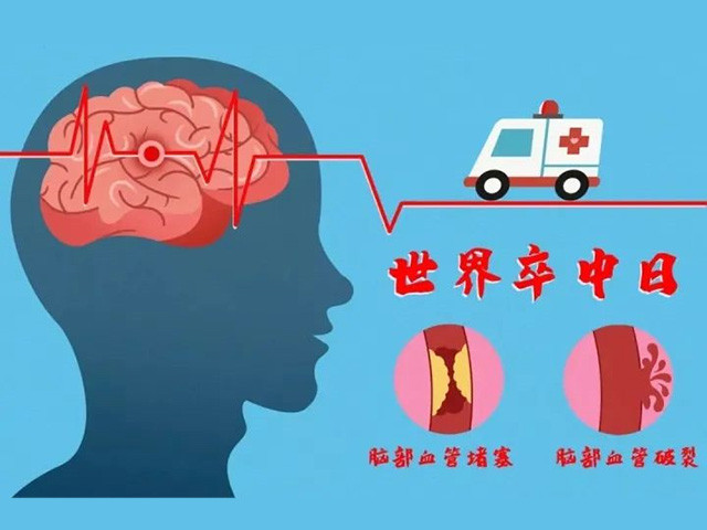 健康宣教第十七个世界卒中日，快来认识脑卒中